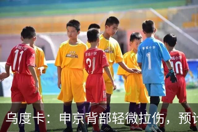 乌度卡：申京背部轻微拉伤，预计将缺席几场比赛